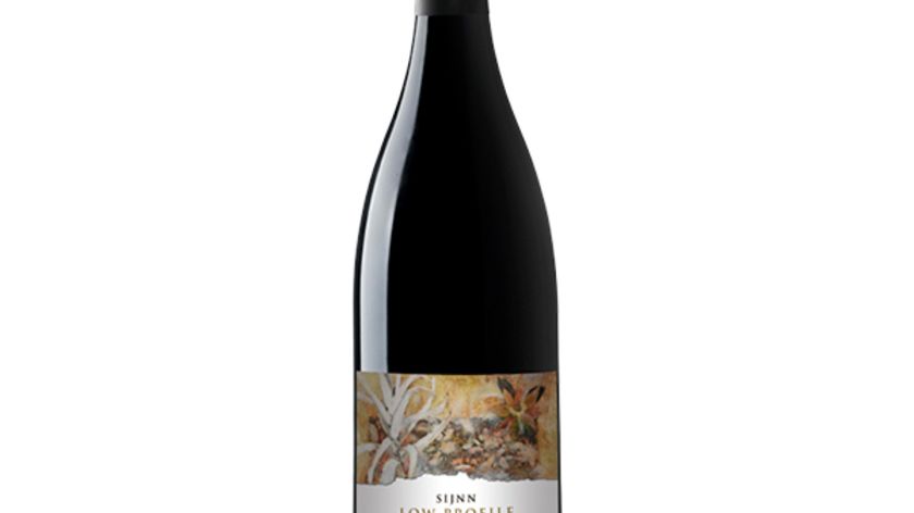 Weingut Sijnn - Low Profile