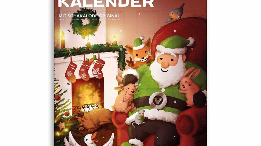 Adventskalender vegan 2023 mit Schokolade gefüllt online kaufen