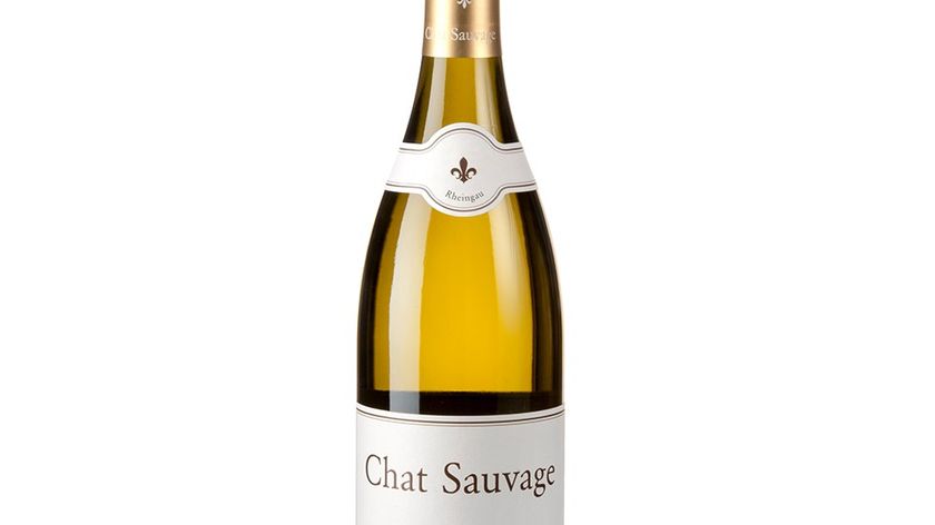 Chat Sauvage - Chardonnay - Rheingau