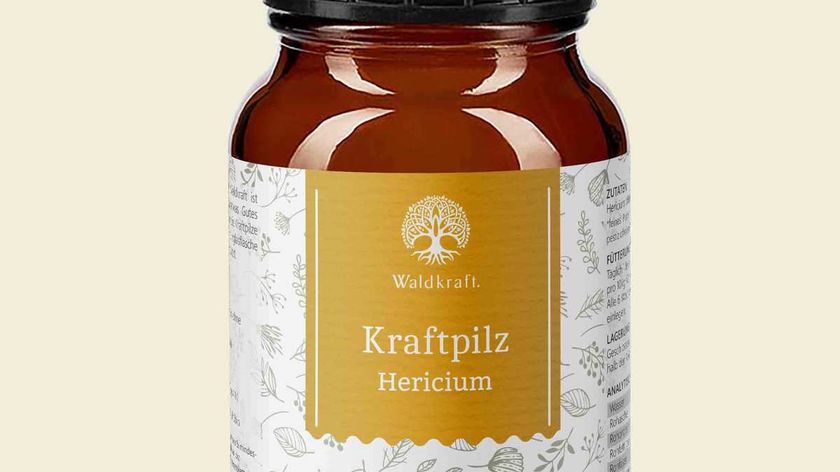 Bio Kraftpilz Hericium – Vitalpilzpulver – 100g