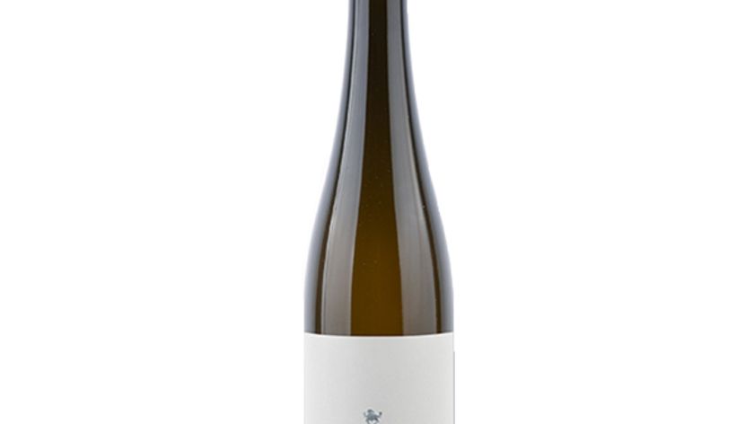 Weingut Loimer - Alte Rebe - Zöbinger