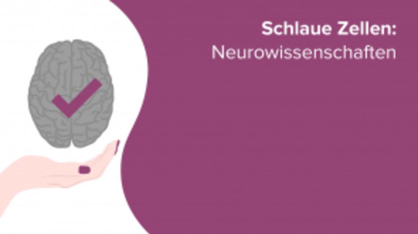 Schlaue Zellen: Neurowissenschaften