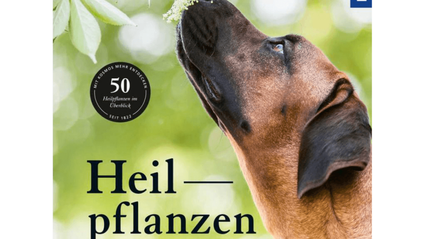 Buch: Heilpflanzen für Hunde