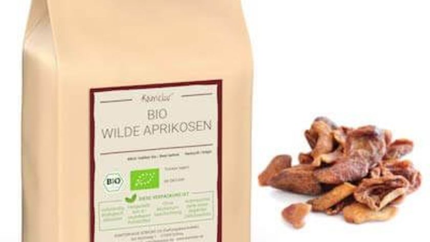 Bio wilde Aprikosen