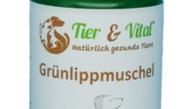 Grünlippmuschel 35 g