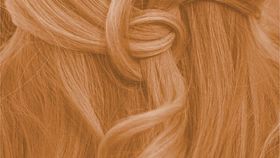 Pflanzenhaarfarbe Komplett SET "helles warmes Kupfer-Blond - warm tizian blond" Naturfriseur Profi,