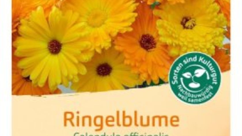 Bingenheimer Saatgut Ringelblume Mischung