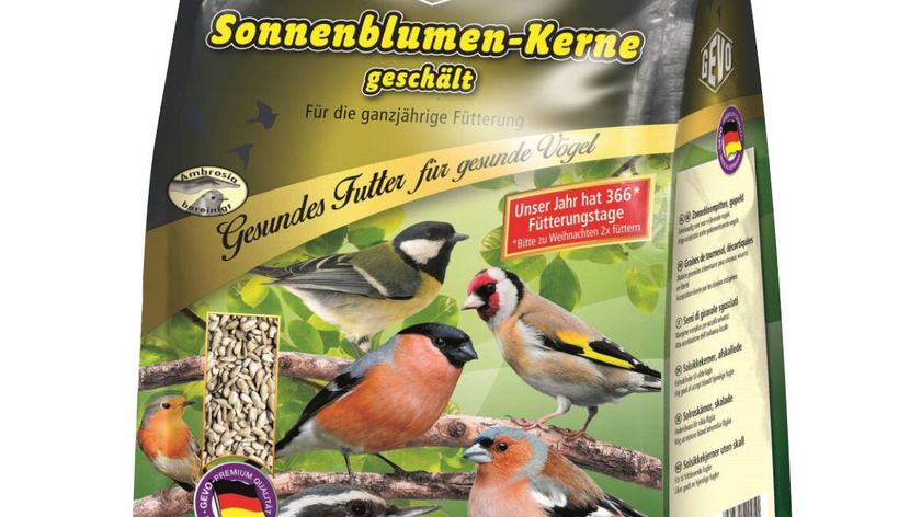 Sonnenblumenkerne geschält 2500 g