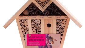 Natuurmonumenten Insektenhaus Sinne (medium)