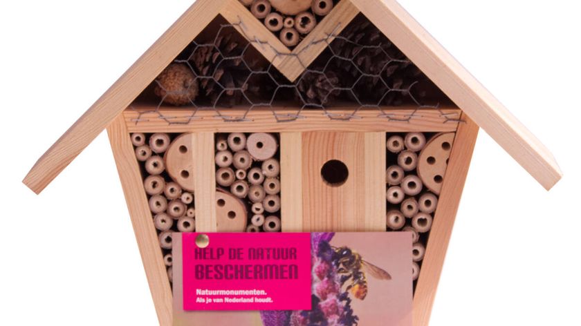 Natuurmonumenten Insektenhaus Sinne (medium)