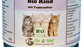 Bio Katzenfutter - Rind mit Topinambur