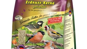 Erdnusskerne geviertelt 2500 g