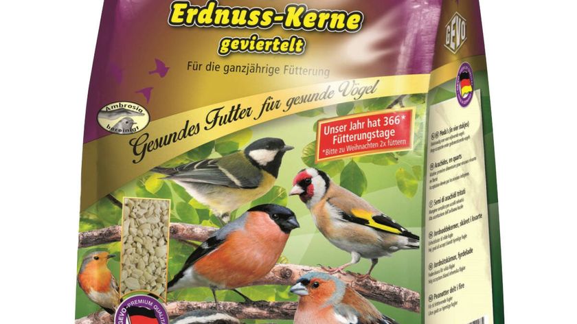 Erdnusskerne geviertelt 2500 g