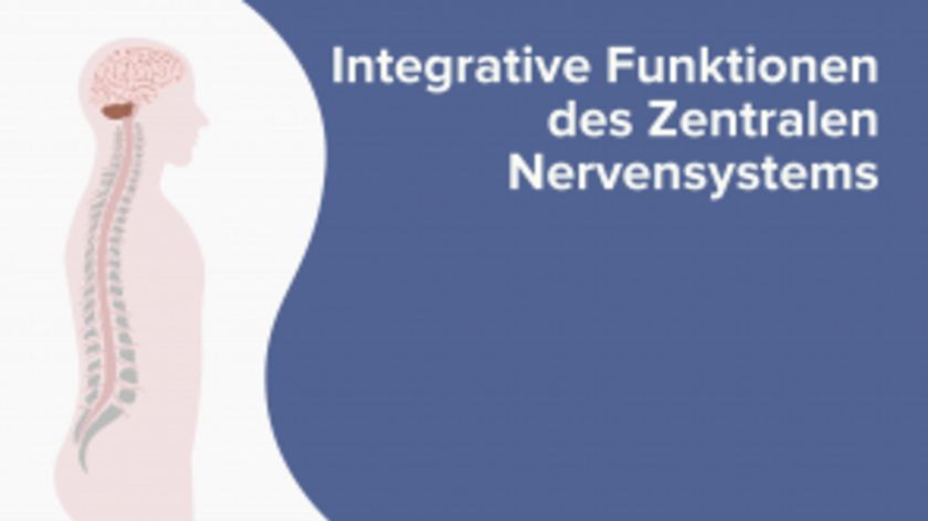 Integrative Funktionen des Zentralen Nervensystems