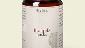 Bio Kraftpilz Hericium - Vitalpilz Synergetium - 120 Kapseln