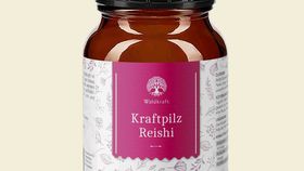 Bio Kraftpilz Reishi – Vitalpilzpulver – 100g