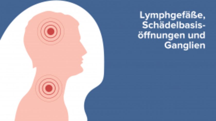 Lymphgefäße, Schädelbasisöffnungen und Ganglien