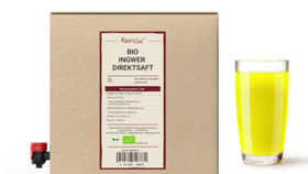 Bio Ingwersaft, 3l