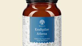 Bio Kraftpilze Athena – Vitalpilz Synergetikum - 100g