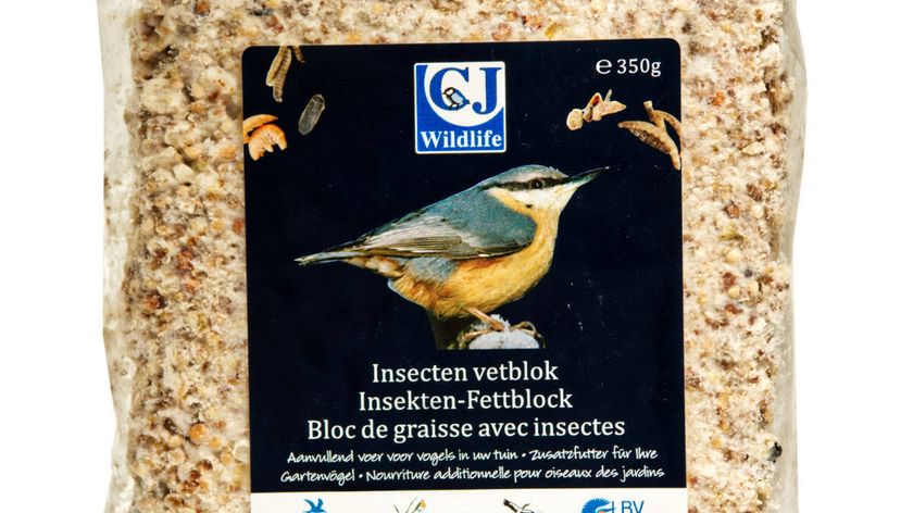 Insekten- Fettfutter 350g