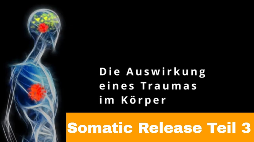 Somatic Release - Traumas im Körper lösen - Teil 3