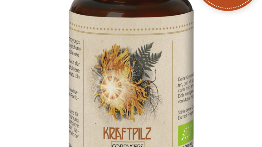 Kraftpilz Cordyceps - Vitalpilz Synergetium - 120 Kapseln