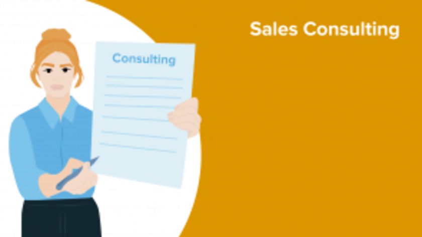 Sales Consulting