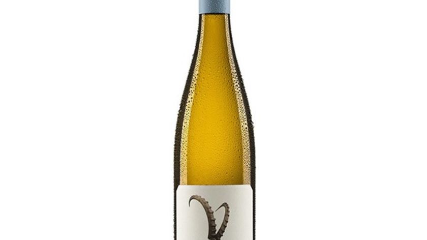 Hörner - Sauvignon Blanc - Steinbock