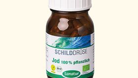 Jod 100% pflanzlich BIO, 60 Kps.
