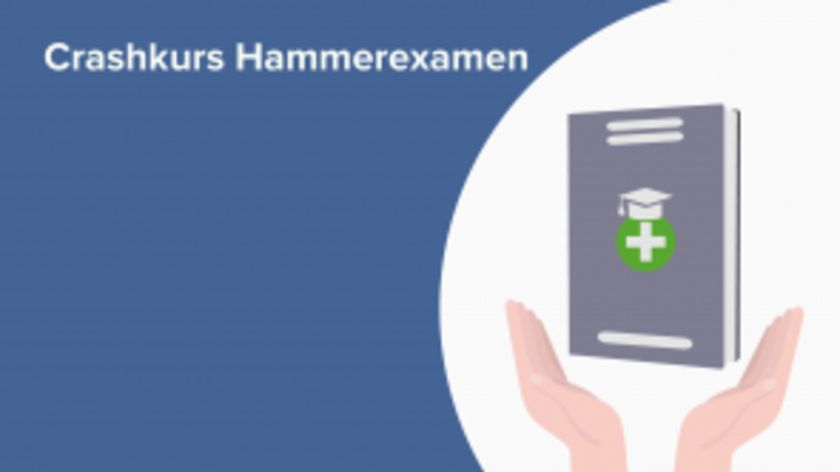 Crashkurs 2. Staatsexamen (M2)