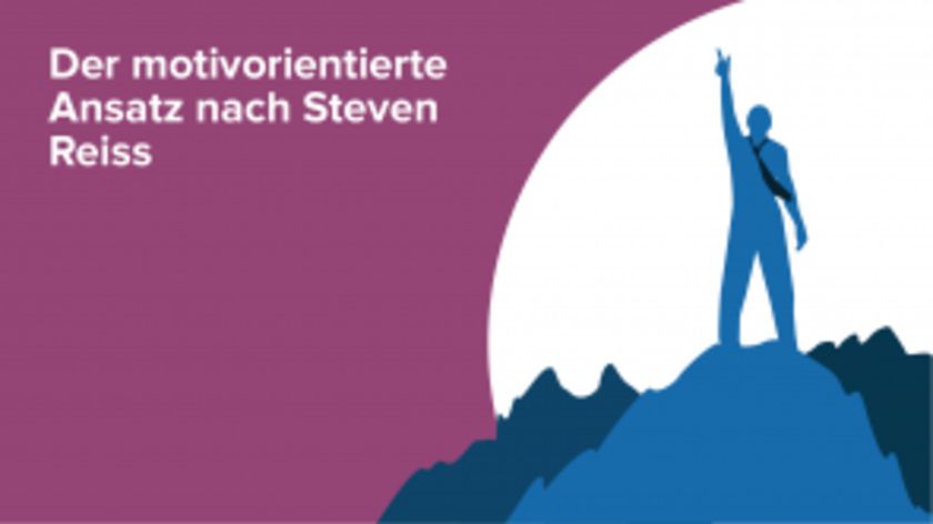 Der motivorientierte Ansatz nach Steven Reiss