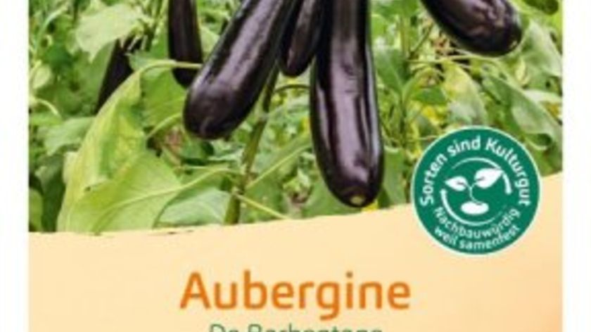 Bingenheimer Saatgut Aubergine De Barbentane