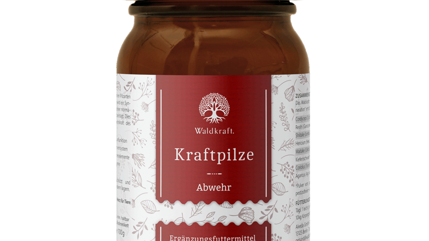 Kraftpilze Abwehr – Vitalpilz Synergetikum - 100g