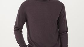 hessnatur Herren Rollkragen-Pullover aus Bio-Merinowolle - rot - Größe 46