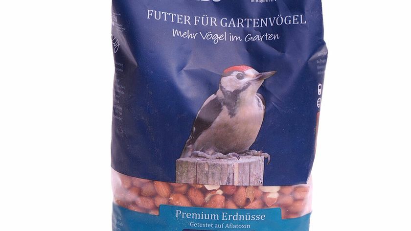 NABU / LBV Premium Erdnüsse 1kg