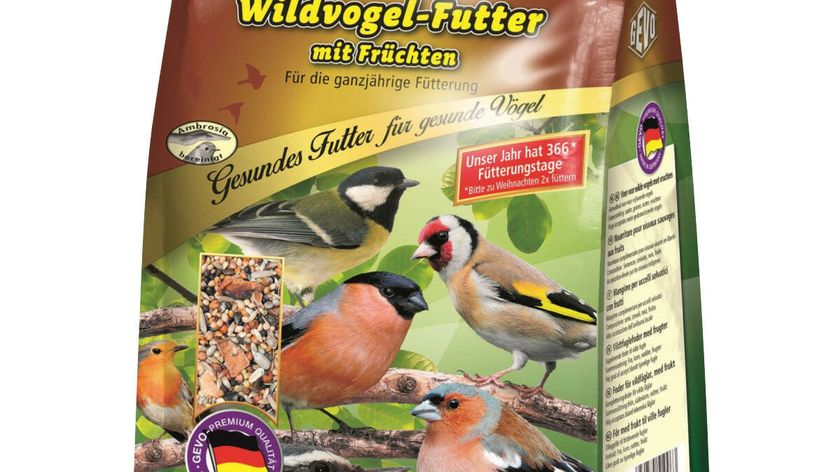 Wildvogelfutter mit Früchten 1000 g