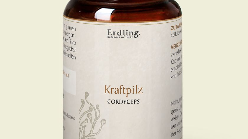 Bio Kraftpilz Cordyceps - Vitalpilz Synergetium - 120 Kapseln