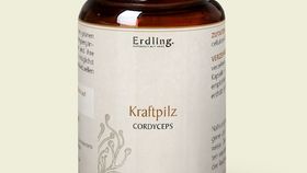 Kraftpilz Cordyceps - Vitalpilz Synergetium - 120 Kapseln