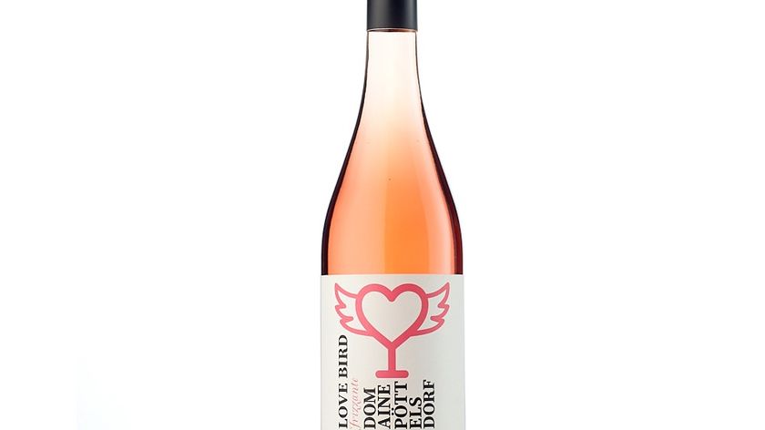 Domaine Pöttelsdorf - Love Bird  Frizzante