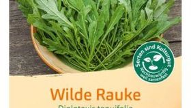 Bingenheimer Saatgut Rucola Wilde Rauke