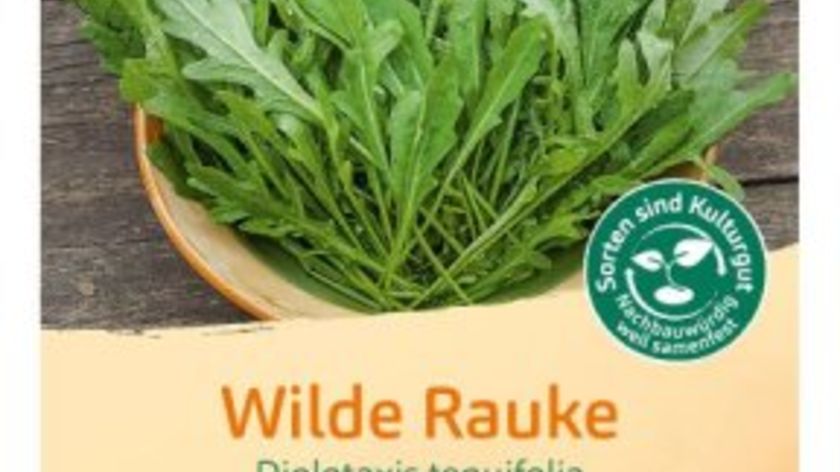 Bingenheimer Saatgut Rucola Wilde Rauke