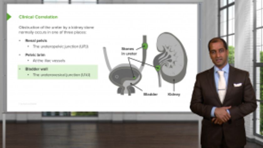 Hepatology