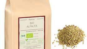 Bio Alfalfa (Luzerne), Keimsaat