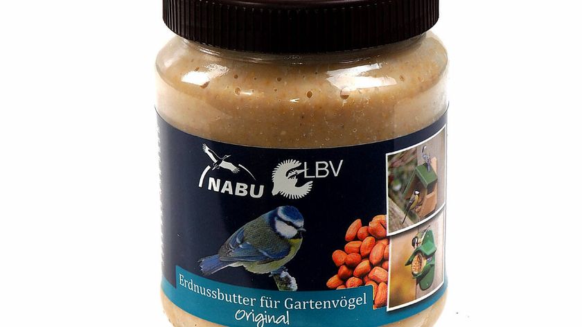 NABU / LBV Erdnussbutter für Vögel original