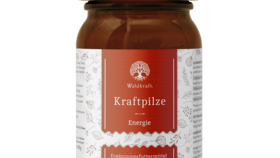 Kraftpilze Energie – Vitalpilz Synergetikum - 100g