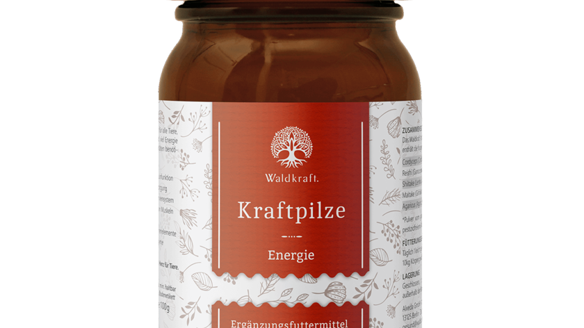 Kraftpilze Energie – Vitalpilz Synergetikum - 100g