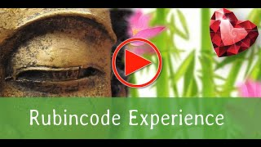 Rubincode Experience - Selbstregulation durch Meditation und Mentaltraining