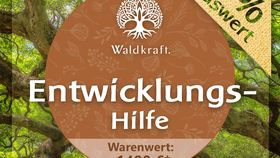 Händler Waldkraft Entwicklungshilfe 2875 EUR