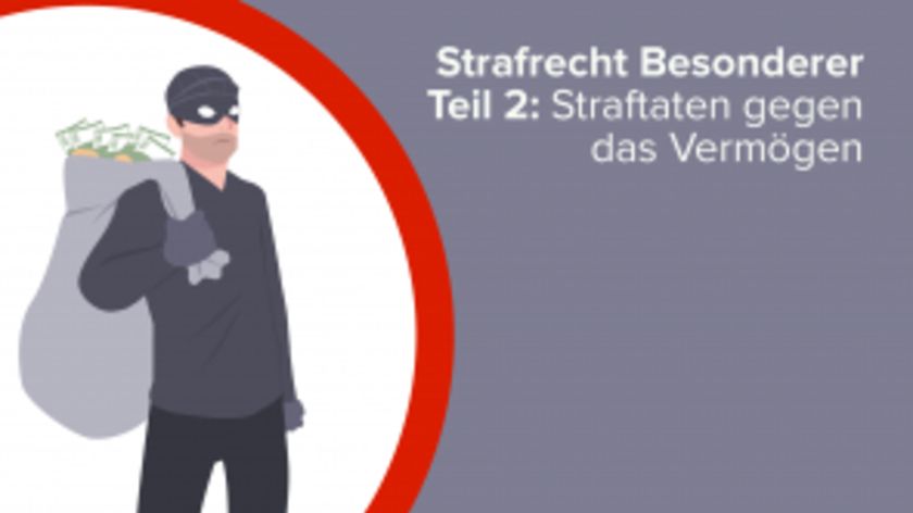 Strafrecht Besonderer Teil 2: Straftaten gegen das Vermögen