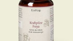 Kraftpilze Freya – Vitalpilz Synergetikum – 120 Kapseln